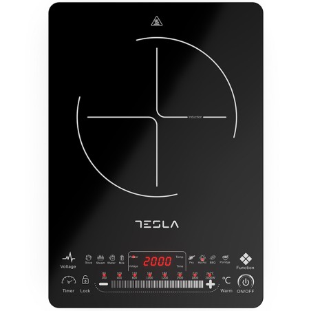 TESLA indukcijski rešo...