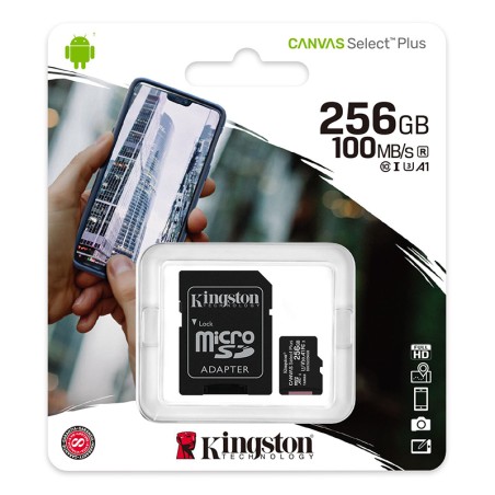 Kingston Micro SD Memory...