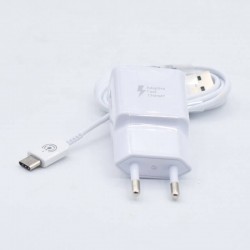 Punjač kućni Micro USB 2u1...